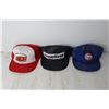 Image 3 : (9) Assorted Hats
