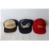 Image 3 : (12) Assorted Hats