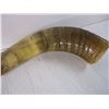 Image 4 : (2) Bull Horns-Each 16" Long