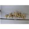 Image 1 : (9) Imitation Starfish