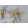 Image 2 : (9) Imitation Starfish