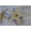 Image 3 : (9) Imitation Starfish