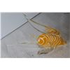 Image 6 : Orange Fish Glass Art