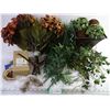 Image 1 : Assorted Dried Flowers and Vines and Misc. Items