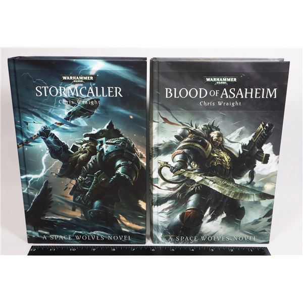 #112 2 BOOKS WARHAMMER 40K STORMCALLER + BLOOD