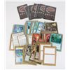 #213 MAGIC THE GATHERING WORLDS 52 CARDS TORONTO