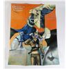 Image 1 : #445 SEGA SATURN PANZER DRAGOON STORY POSTER +