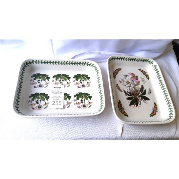 Portmeirion Botanic Garden Cat A