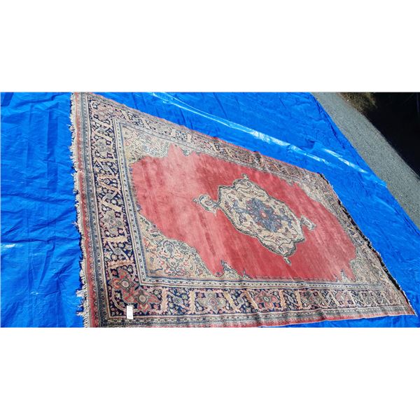 Antique Wool Carpet Cat C