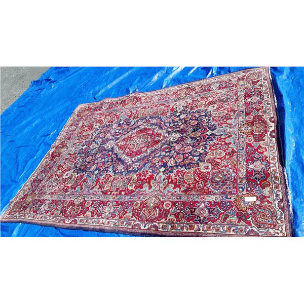 Antique Persian Rug Cat C