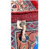 Image 9 : Antique Persian Rug Cat C