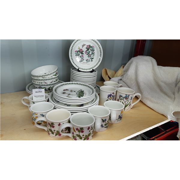 Portmeirion Botanic Garden Cat A