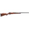 Image 1 : WBY VANGUARD 2 22-250 24" SPORTER