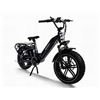 Image 1 : Electric Cargo Bike Big Dog