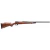 Image 1 : WBY VANGUARD 2 22-250 24" SPORTER