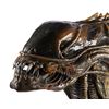 Image 2 : Lot #7: ALIENS (1986) - Xenomorph Warrior Head