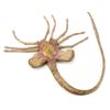 Image 11 : Lot #15: ALIENS (1986) - Stunt Facehugger