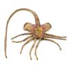 Image 12 : Lot #15: ALIENS (1986) - Stunt Facehugger