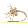 Image 16 : Lot #15: ALIENS (1986) - Stunt Facehugger