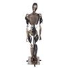 Image 9 : Lot #198: I, ROBOT (2004) - Battle-damaged NS-5 Robot
