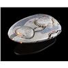 Image 2 : Lot #246: LOST IN SPACE (1998) - Light-up Jupiter 2 Model Miniature