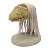 Image 3 : Lot #1009: THE DARK CRYSTAL (1982) - Mystic Puppet Head on Display