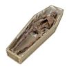 Image 2 : Lot #1474: POLTERGEIST (1982) - Desiccated Corpse in Coffin Model Miniature