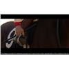 Image 17 : Lot #1518: SEABISCUIT (2003) - Red Pollard's (Tobey Maguire) Hat, Riding Crop and Script