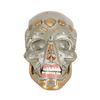 Image 3 : Lot #1676: SURROGATES (2009) - Robot Skull and Military-unit Face