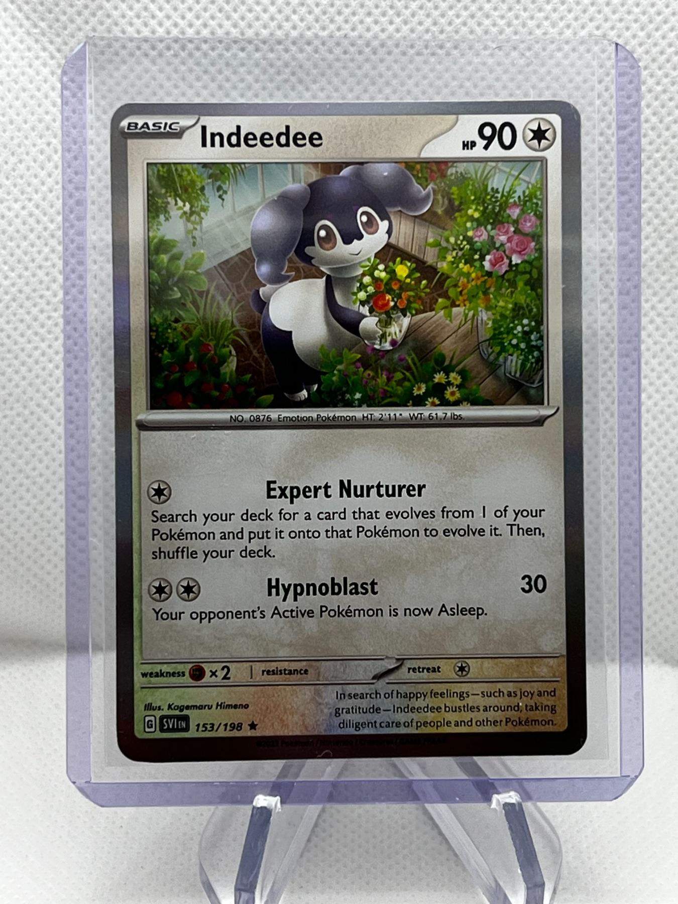 POKEMON INDEEDEE SILVER TEMPEST