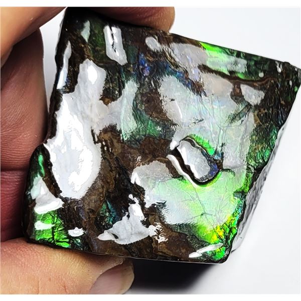 11)  HUGE NATURAL GREEN FIRE AMMOLITE SPECIMEN,