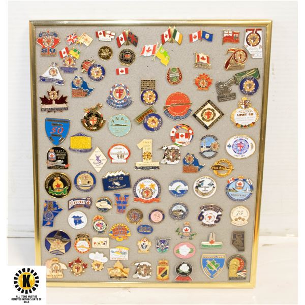 10X12 FRAME OF COLLECTABLE PINS