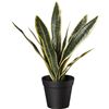 Image 1 : NEW AMAZON BASICS ARTIFICIAL SANSEVIERIA