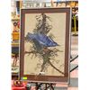 Image 1 : FRAMED BLUE-JAY WATERCOLOUR **STAND NOT INCLUDED**