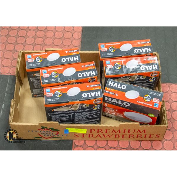 FLAT OF 5 PACKS OF HALO DIRECT MOUNT HLB UNV 6"