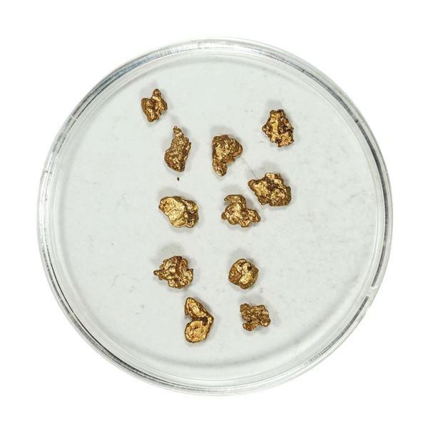 Gold Nuggets 1.52 Grams Total Weight