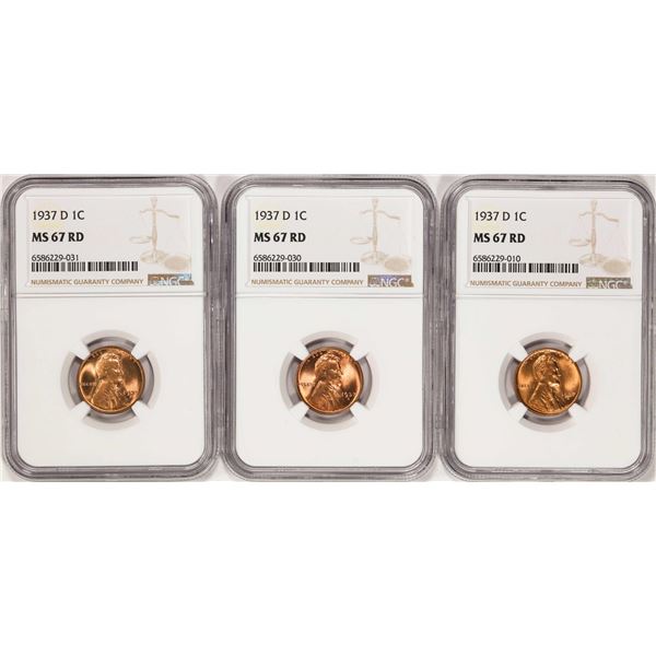Lot of (3) 1937-D Lincoln Wheat Cent Coins NGC MS67RD