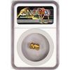 Image 2 : 2.71 Gram Yukon Gold Nugget NGC Graded