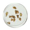 Image 1 : Gold Nuggets 2.03 Grams Total Weight