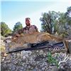 Image 3 : 5-DAY ARIZONA MOUNTAIN LION HUNT WITH HOUNDS FOR 1 HUNTER