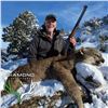 Image 4 : 5-DAY ARIZONA MOUNTAIN LION HUNT WITH HOUNDS FOR 1 HUNTER