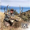 Image 2 : 5 - DAY MULE DEER HUNT IN NEW MEXICO FOR 1 HUNTER