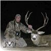Image 3 : 5 - DAY MULE DEER HUNT IN NEW MEXICO FOR 1 HUNTER