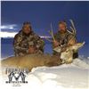 Image 5 : 5 - DAY MULE DEER HUNT IN NEW MEXICO FOR 1 HUNTER