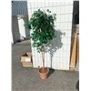 Image 1 : Artificial tree