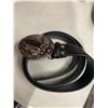 Image 1 : Belt and buckle