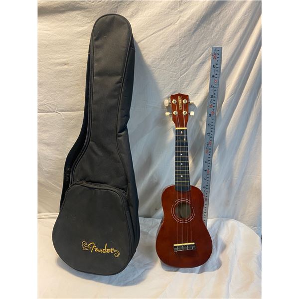 Ukulele with a case