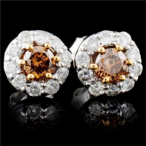 14K White Gold 0.91ctw Fancy Color Diamond Earring