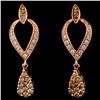 Image 1 : 14K Rose Gold 0.67ctw Fancy Color Diamond Earrings