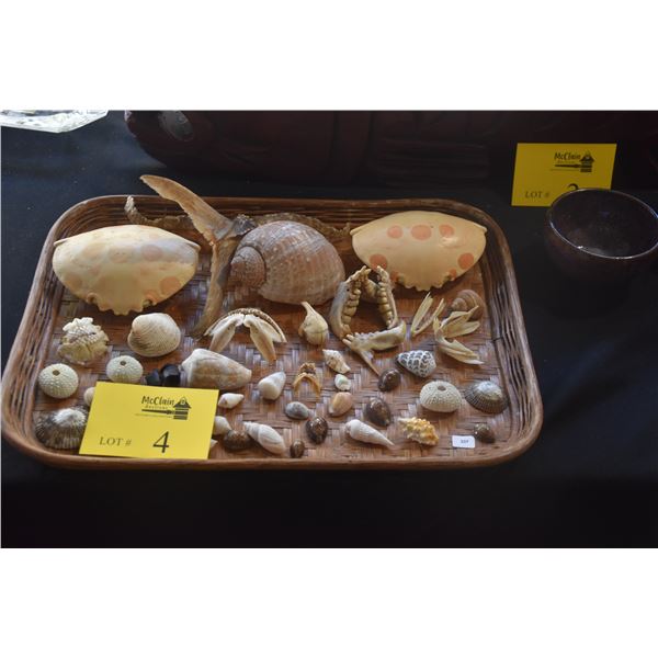 COLLECTION OF CRAB SHELLS, PAPIO TAIL, FISH JAW BONES, SEA URCHIN, TAKO ...